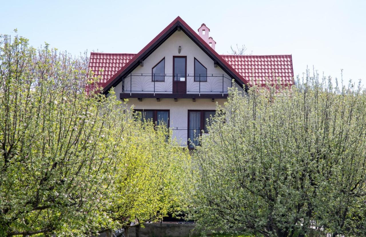 Amedeia Hotell Bran  Exteriör bild